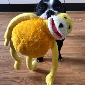 FUN FUN FUN WORKSHOP zaterdag 29-08 diverse tijden