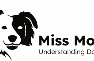 Miss Molly | Workshop Doodelen Vr 17-10 16.00 of 17.00uur Door Miss Molly locatie Odijk