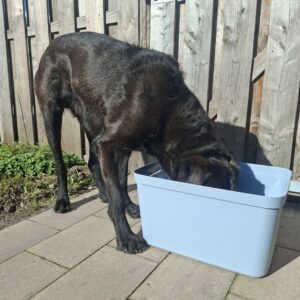 NIEUW!! DOPAMINEBOX TRAINING 4 lessen start 25-04 11:10 Utrecht