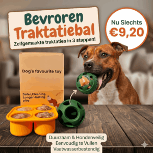 Ontdek de Ultieme Bevroren Traktatiebal voor Honden